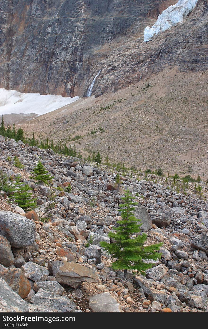 View from Path of the Glacier Loop Trail - Jasper National Park, Canada