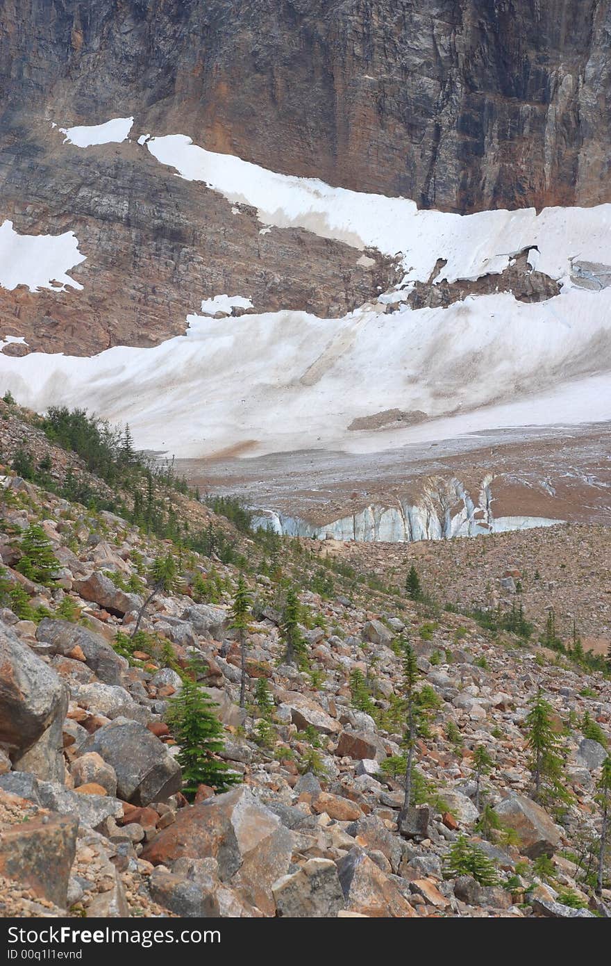 View from Path of the Glacier Loop Trail - Jasper National Park, Canada