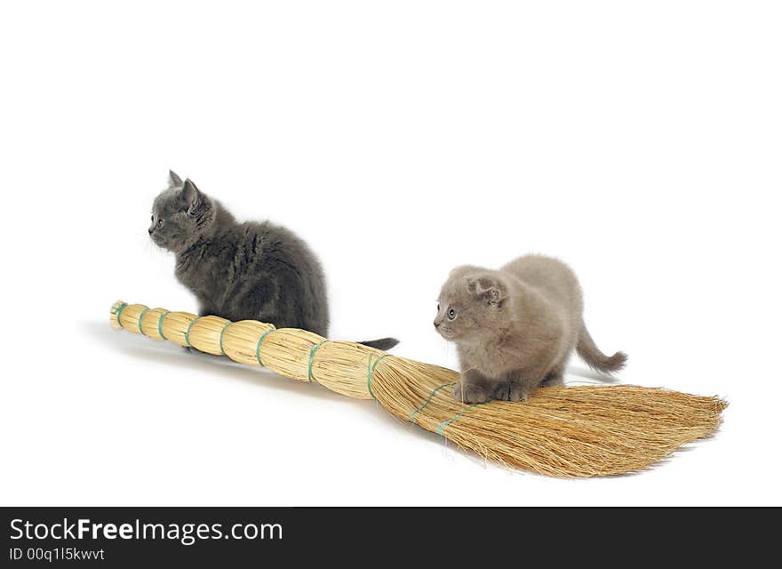 Two varicolored kitties sit beside besom. Two varicolored kitties sit beside besom