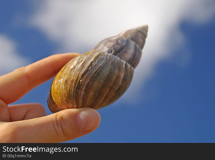 Large snail in woman s hand