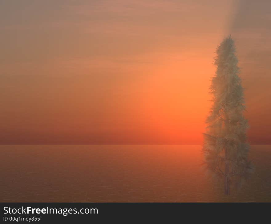 A lone Pine Tree in a foggy winter sunset. A lone Pine Tree in a foggy winter sunset.