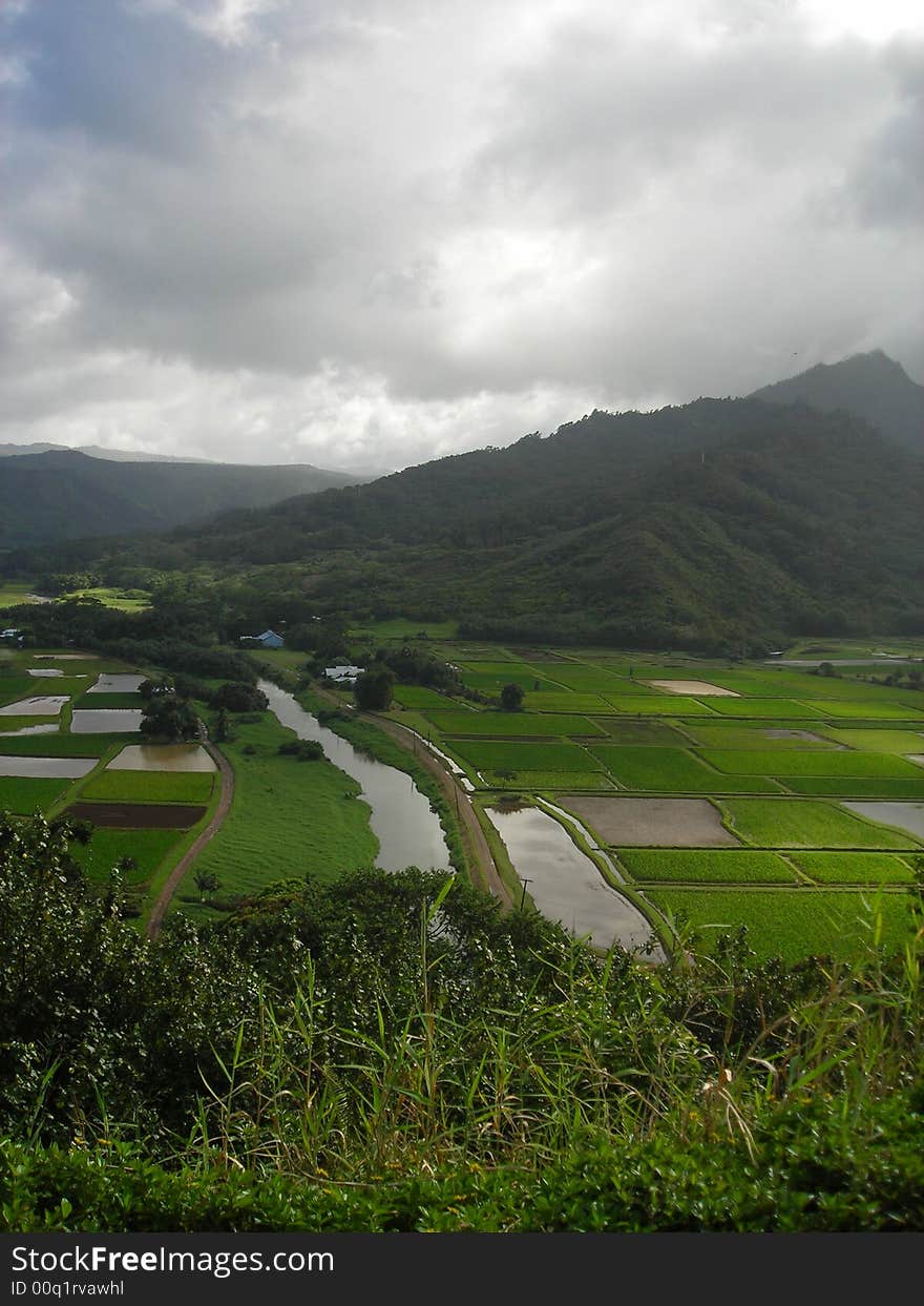 Road To Hanalei