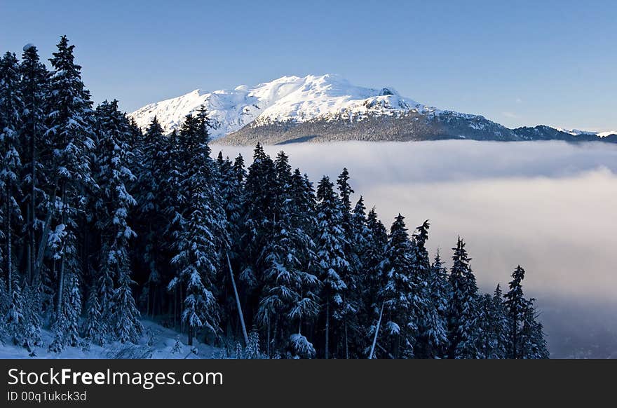 A stunning scene with snow capped peaks, valley clouds and snowy trees in winter. A stunning scene with snow capped peaks, valley clouds and snowy trees in winter.