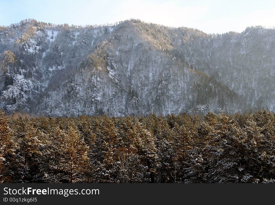 Altai Mountain with snow in winter 2008