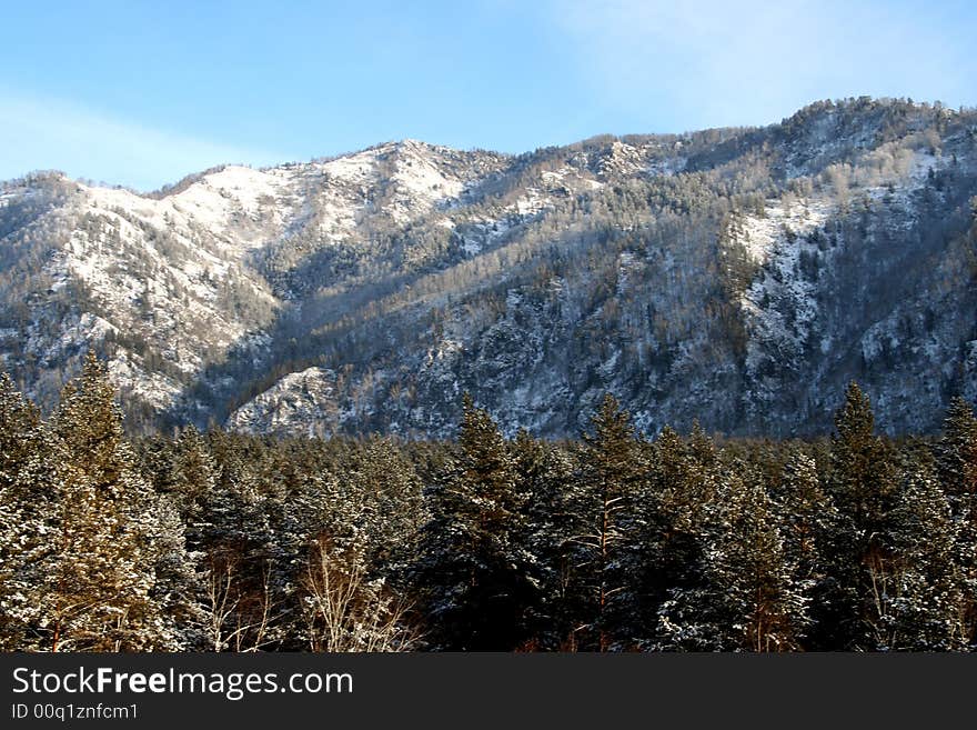 Altai Mountain with snow in winter 2008