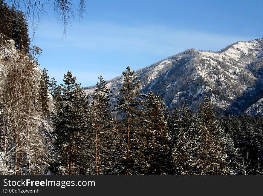 Altai Mountain with snow in winter 2008