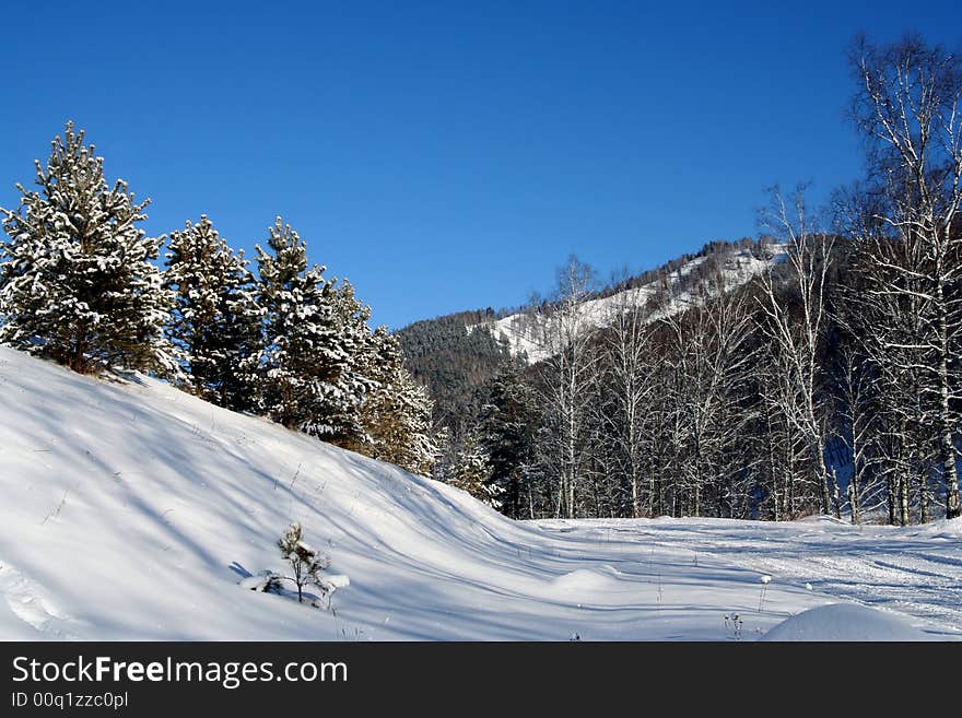 Altai Mountain with snow in winter 2008