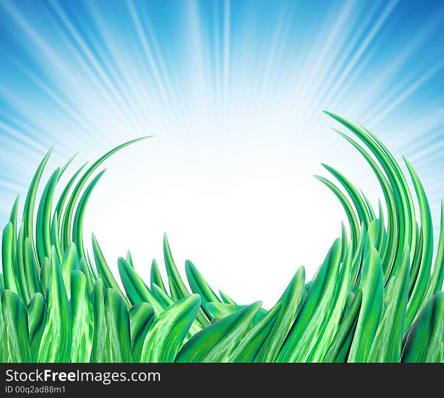 Summer background with grass