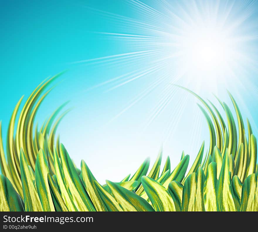 Summer background with grass