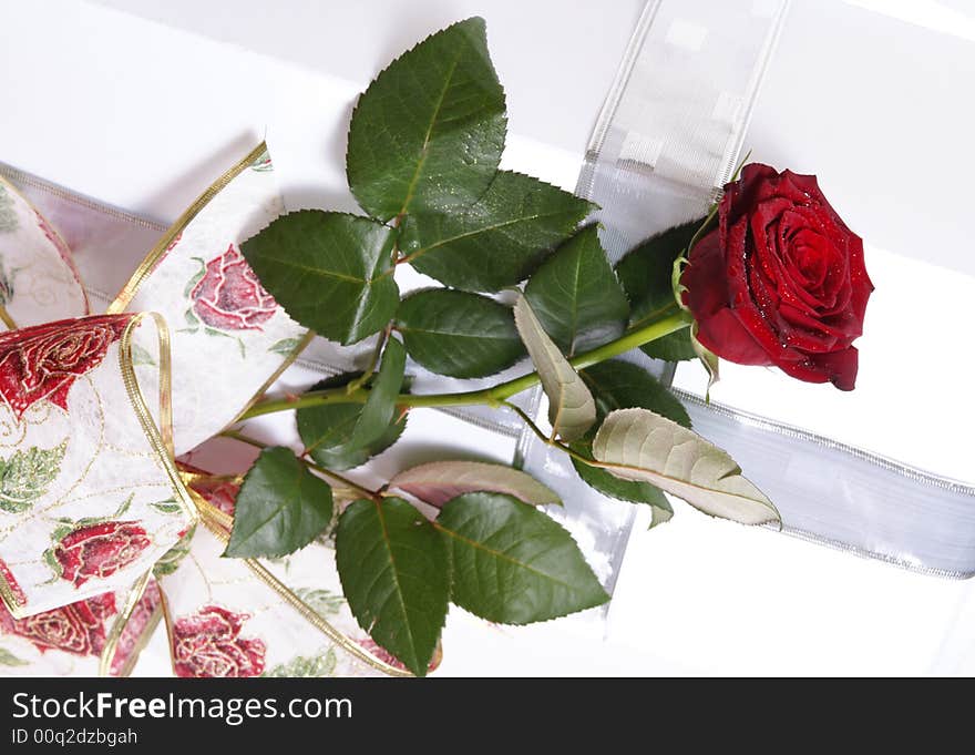 Single red rose on a white background with gift. Single red rose on a white background with gift