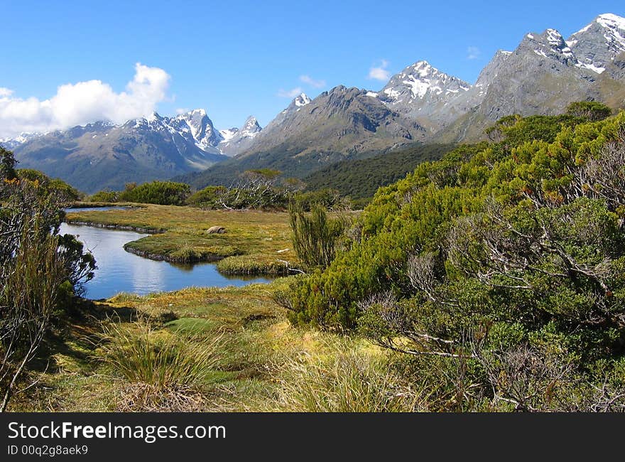 Landscape at the Routburn Track on the Southern Island of New Zealand. Landscape at the Routburn Track on the Southern Island of New Zealand