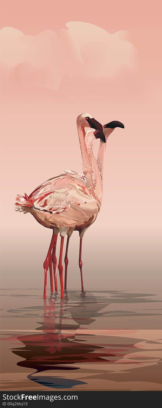 Flamingo