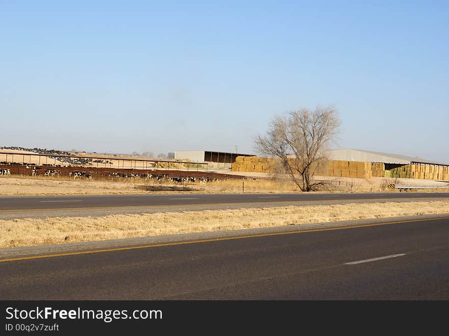 Cattle stockyard and bales of hay