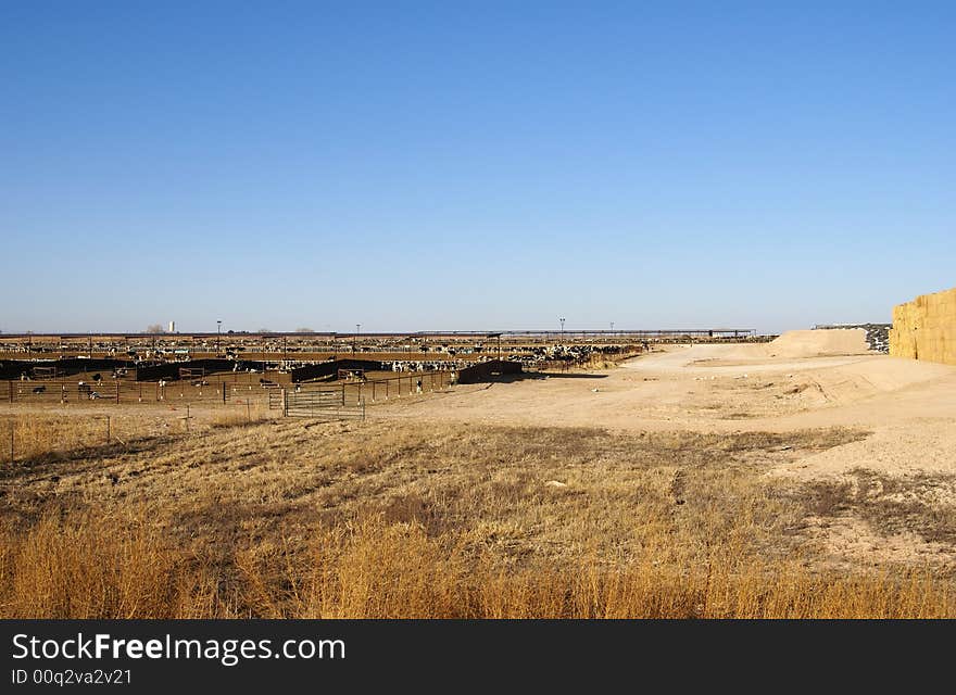 Cattle stockyard and bales of hay