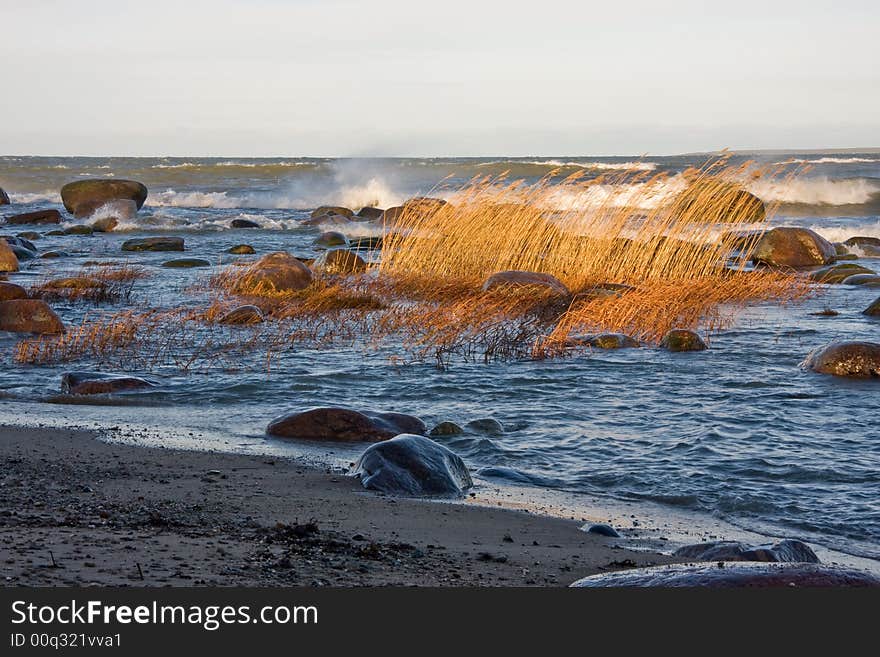 Stormy sea