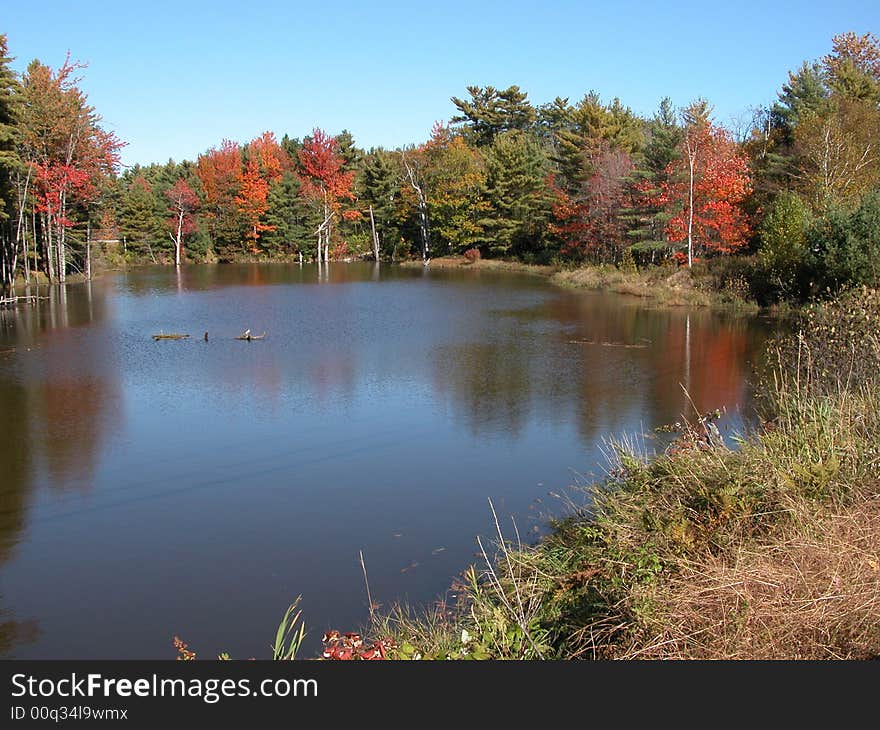 Serene autumn scene with deep blue lake waters encircled with brilliant red maples amid green pines. Serene autumn scene with deep blue lake waters encircled with brilliant red maples amid green pines.