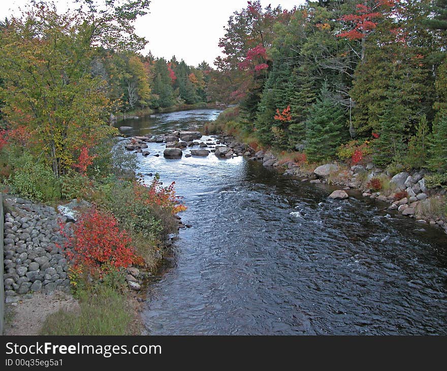 Bright red splotches of color along the tree-lined riverbank contrasting to the deep blue burbling water. Bright red splotches of color along the tree-lined riverbank contrasting to the deep blue burbling water.