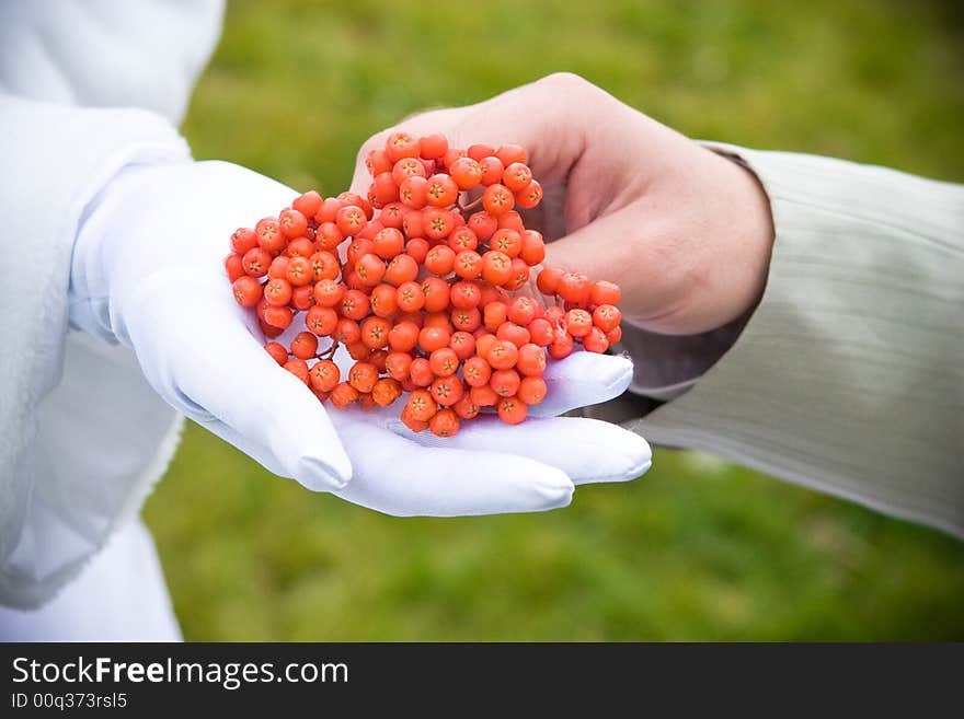 A bunch of ashberry in the hands of a bride and a groom