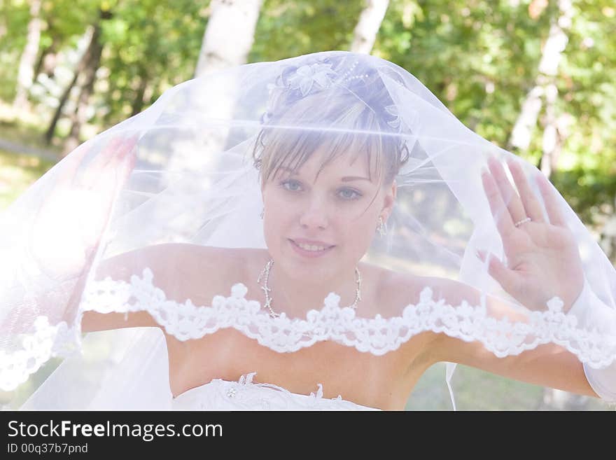 A bride looks through the veil