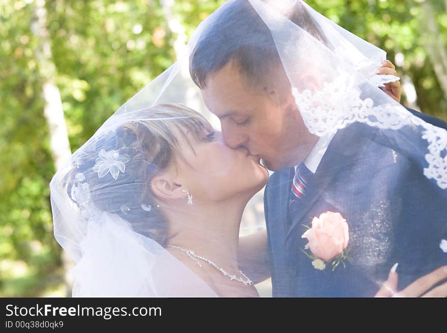 A bride and a groom kissing under the veil. A bride and a groom kissing under the veil