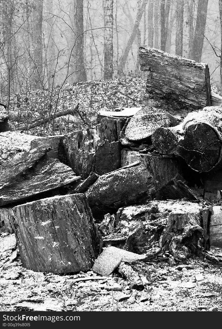 December snow on woodpile in middle Tennessee