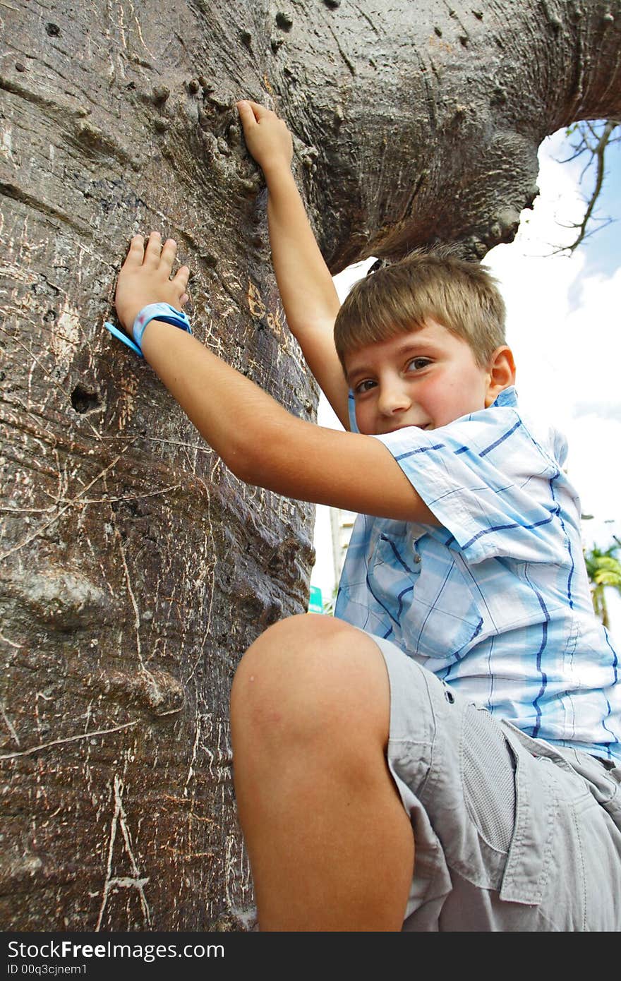 Boy Climbing A Tree