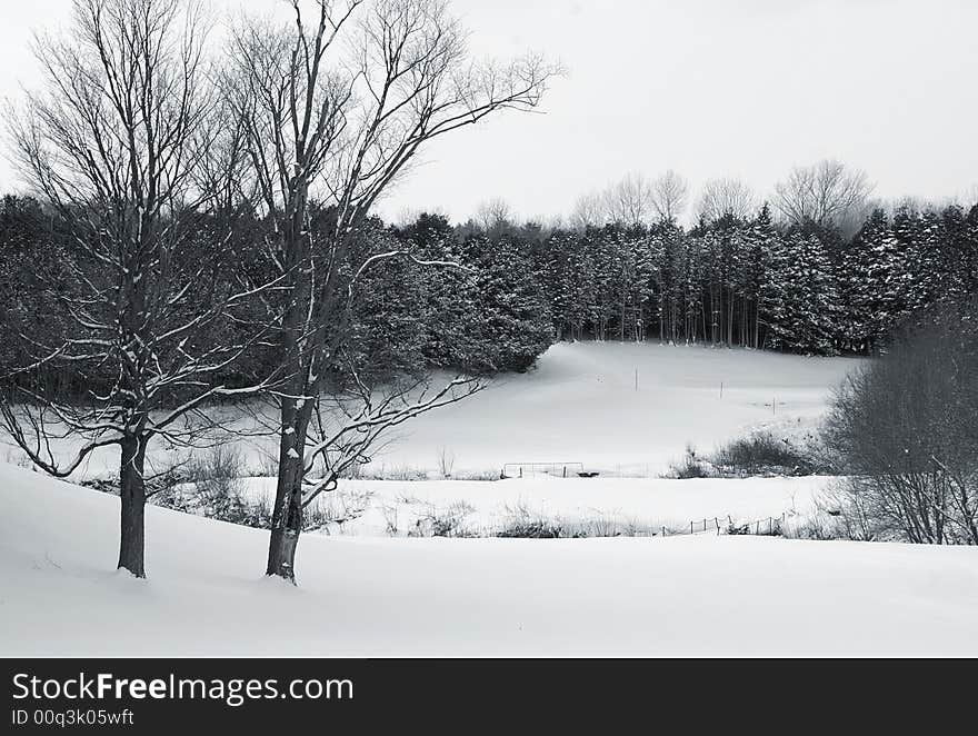 Ontario golf course scene with meandering creek in winter after a snow squall. Ontario golf course scene with meandering creek in winter after a snow squall