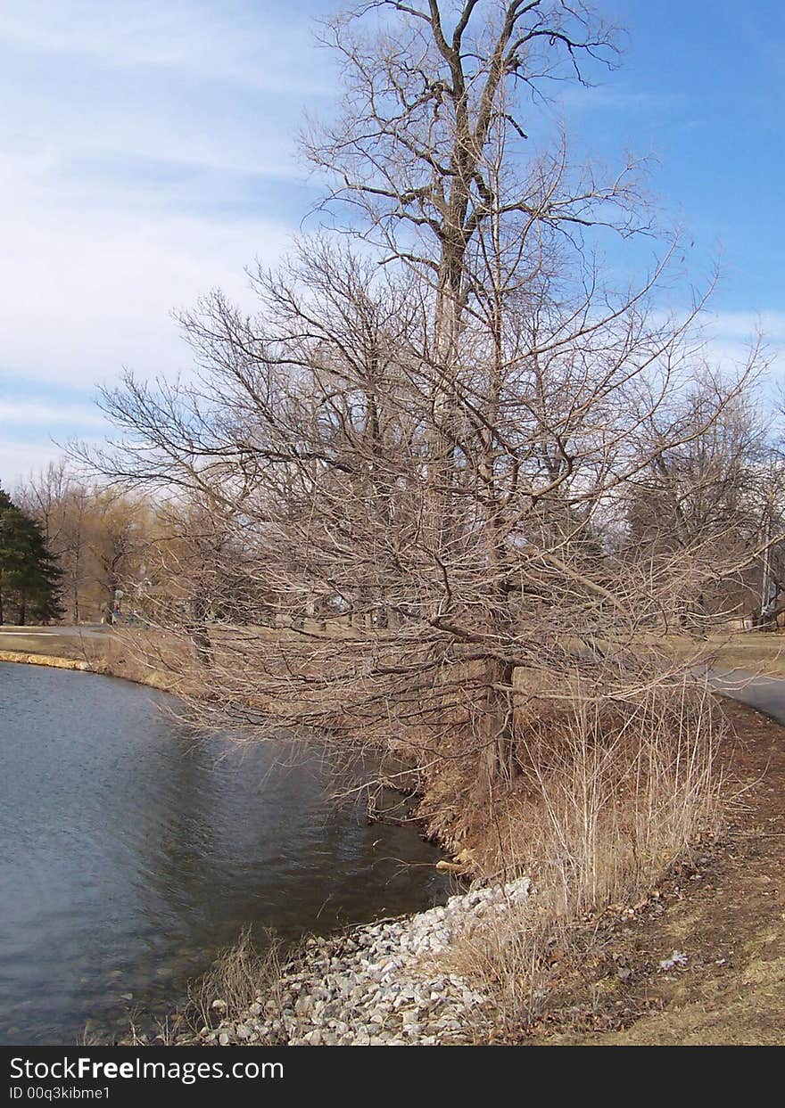 Lake after Fall