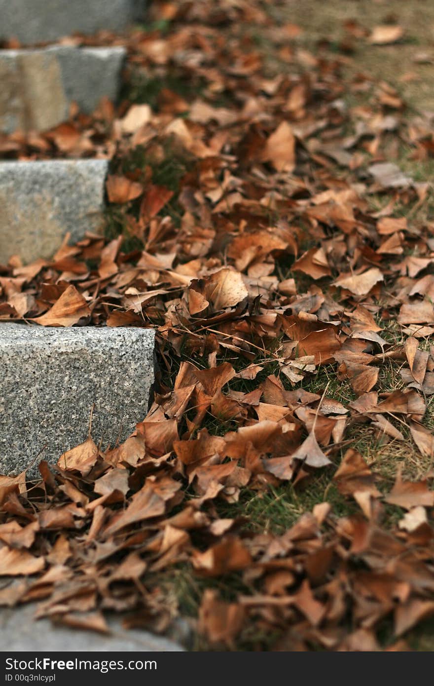 Corner of park, the fall of the leaf