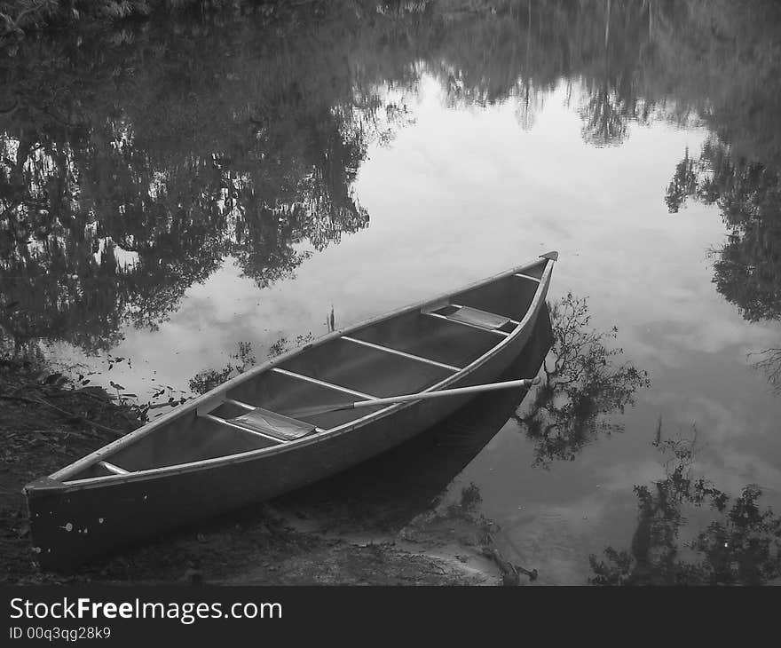 Paddling in the florida swampland. Paddling in the florida swampland