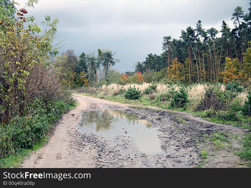 A typical czech landscape, road and forest. A typical czech landscape, road and forest