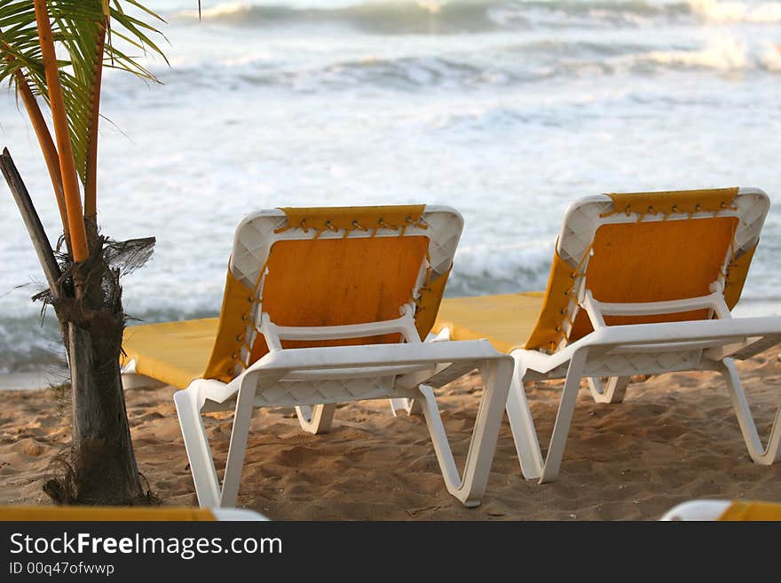 Chaises on the beach and palm tree. Chaises on the beach and palm tree