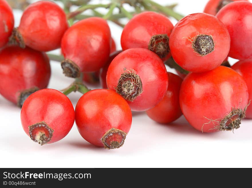 Bunch of rose hips