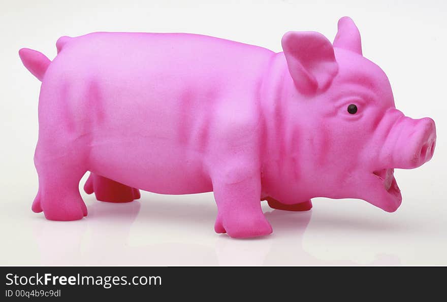 Pink pig on white background