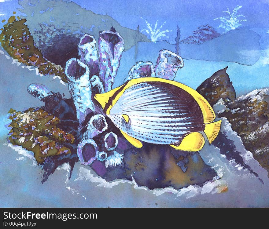 Butterflyfish