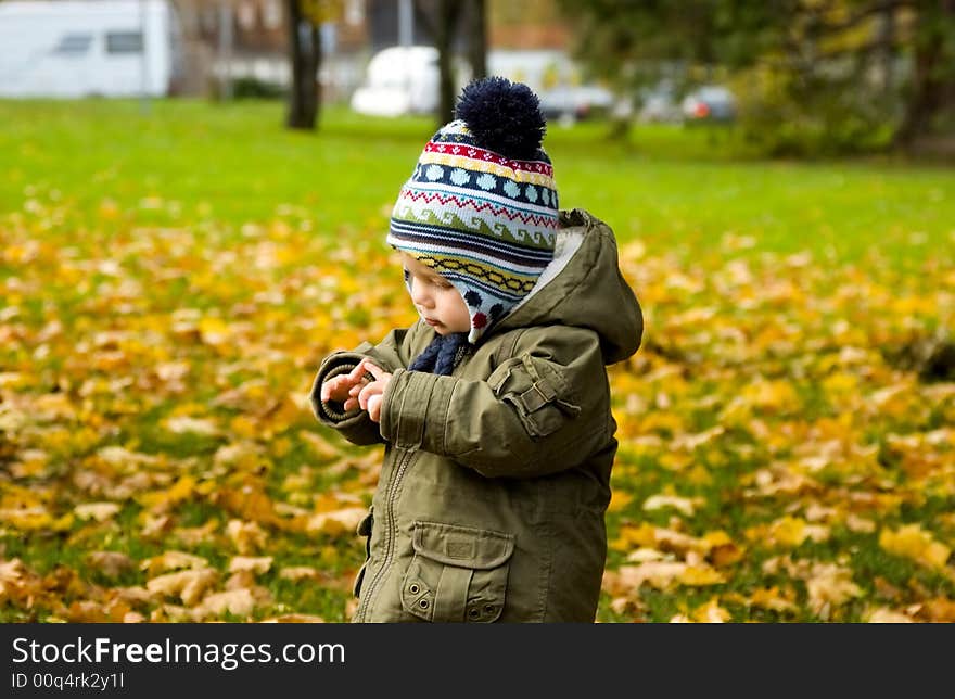 Colorful autumn.