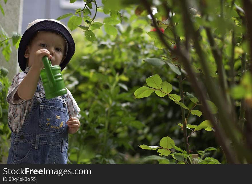 Child helps in the garden watering flowers. Child helps in the garden watering flowers.