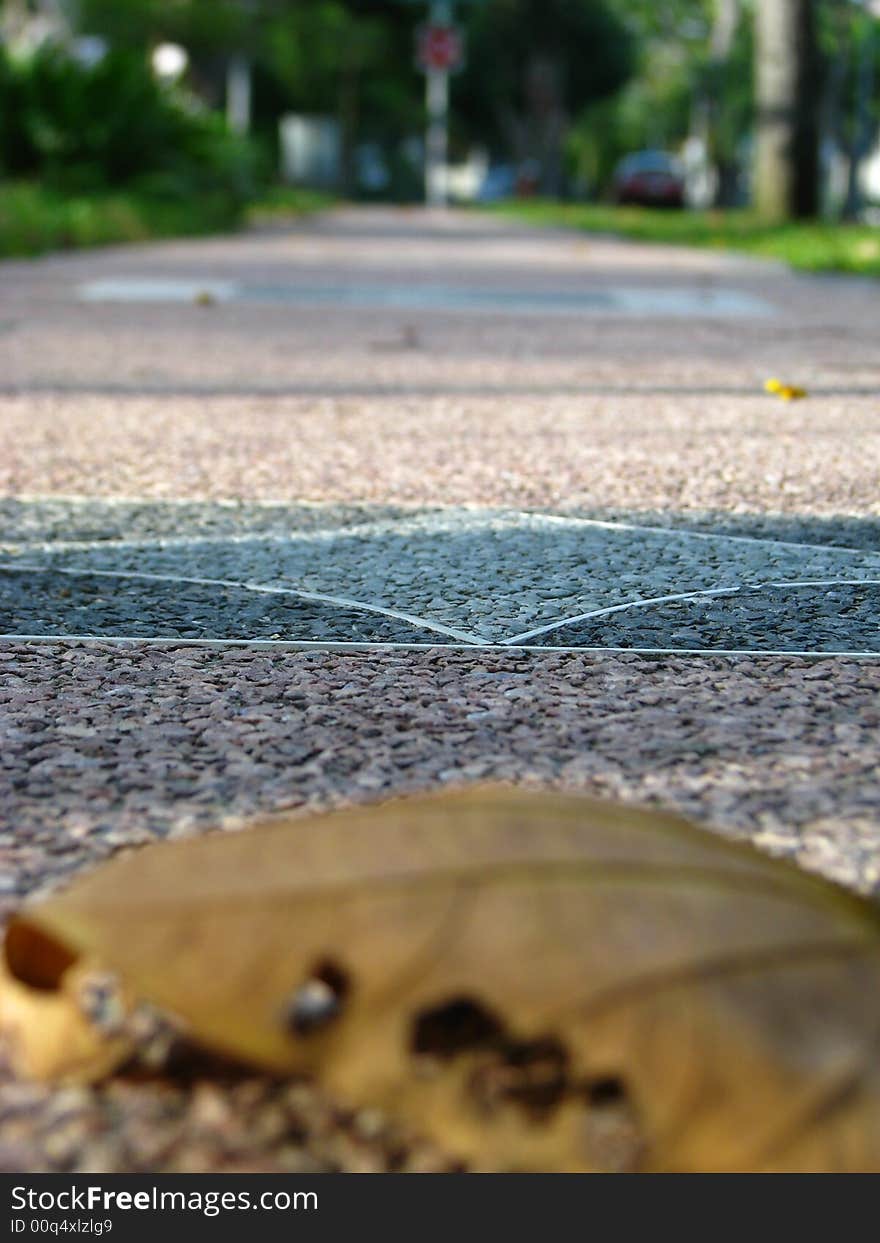 The picture focuses on the path beyond a browned and fallen leaf, evoking ideas of a road or journey ahead, and possibly moving beyond a tragedy or hurt. The picture focuses on the path beyond a browned and fallen leaf, evoking ideas of a road or journey ahead, and possibly moving beyond a tragedy or hurt