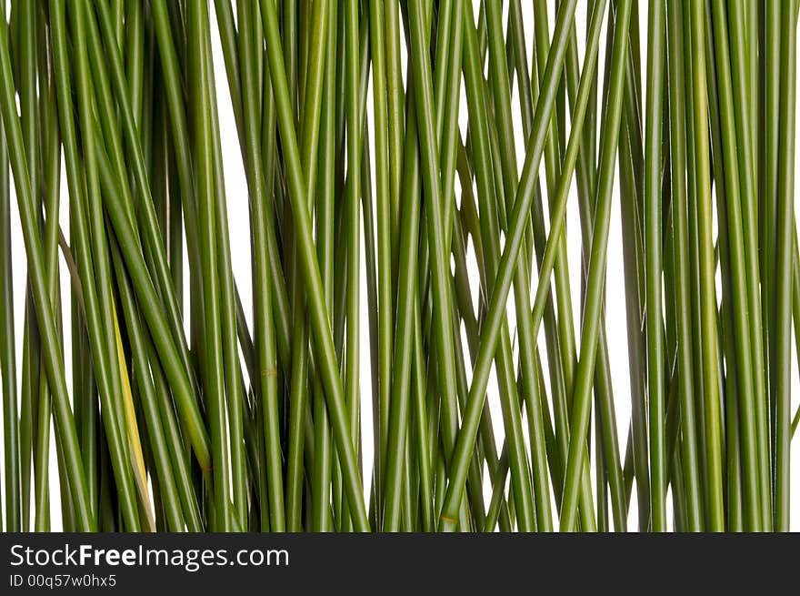 Green grass straws isolated on white. Green grass straws isolated on white