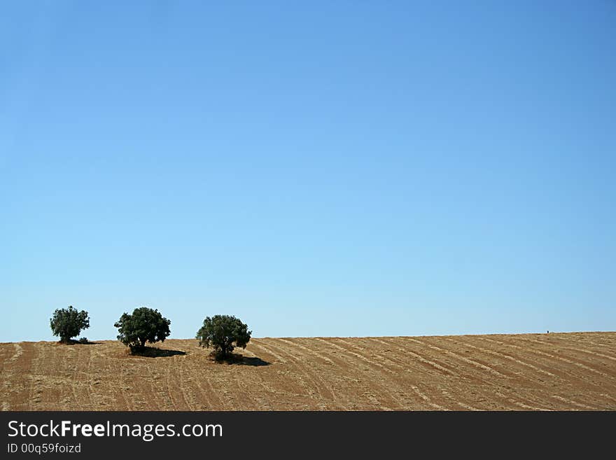 alentejo