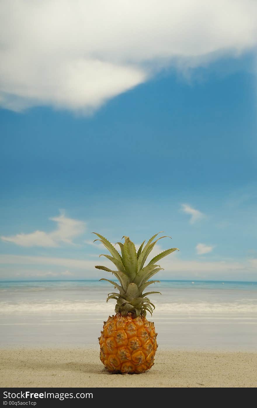 Pineapple on the beach near the water. Withe a  blue and cloudy sky. Pineapple on the beach near the water. Withe a  blue and cloudy sky.