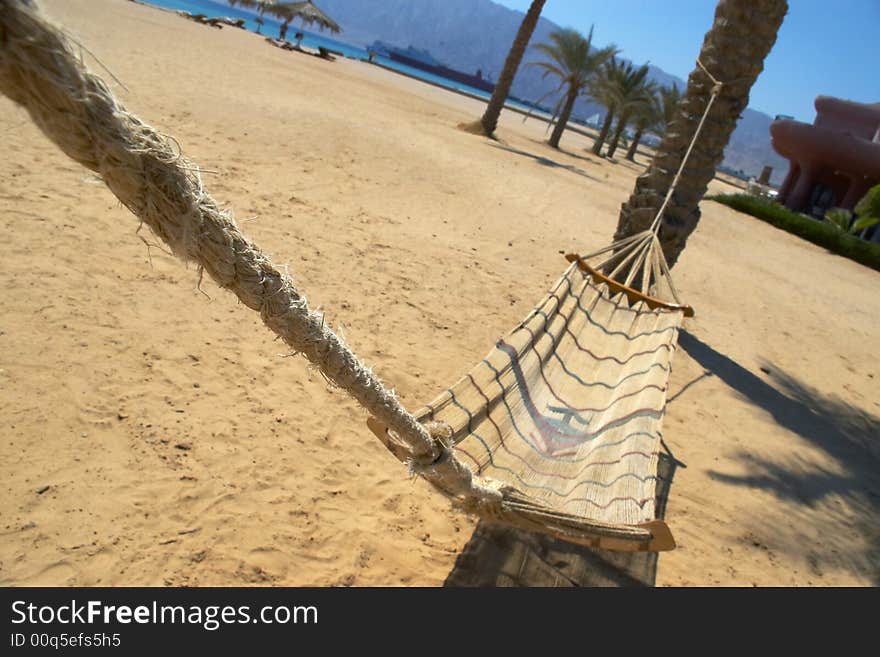 Summer. Hammock on palm trees. Summer. Hammock on palm trees.