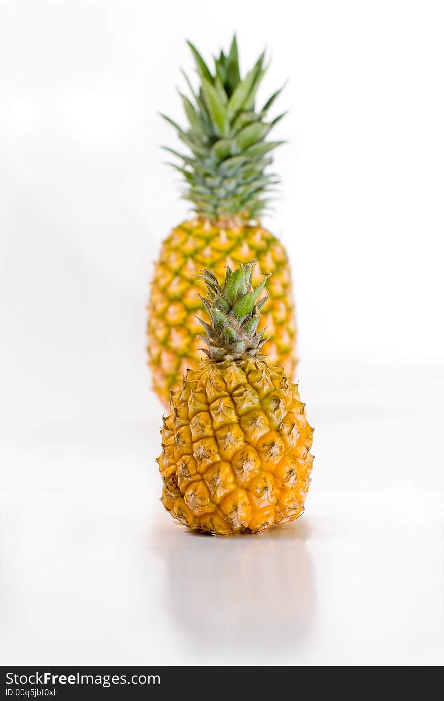 Pineapple Big and Small