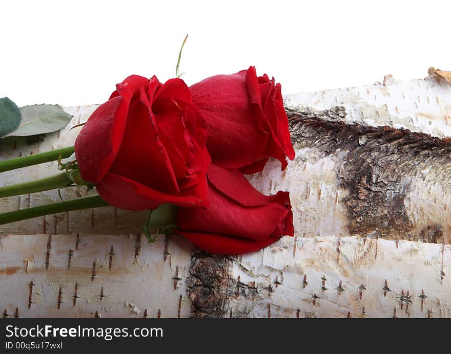 Beautiful red roses lying on wood