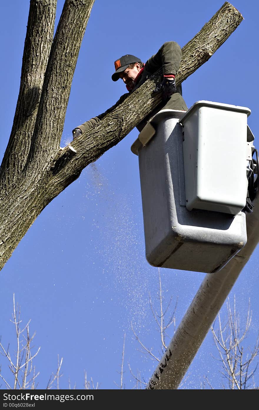 Tree work being done on a winter day on a very blue-sky day. Tree work being done on a winter day on a very blue-sky day.