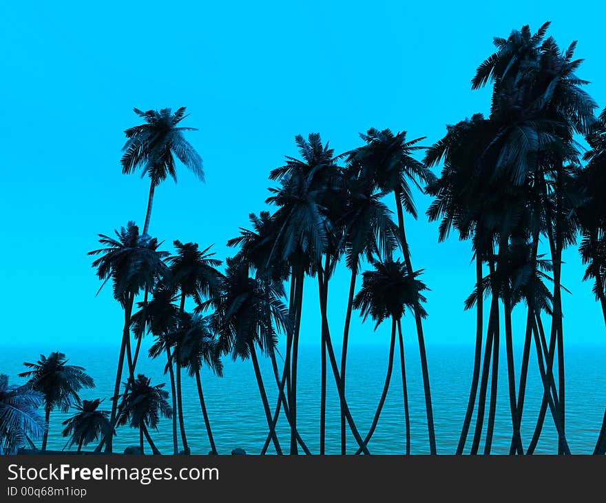 Tops of palm trees on a background of a sunset sky. Tops of palm trees on a background of a sunset sky