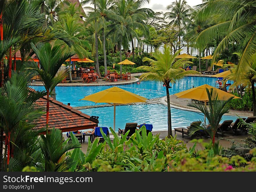 Coconut tree and swimming pool at the seaside