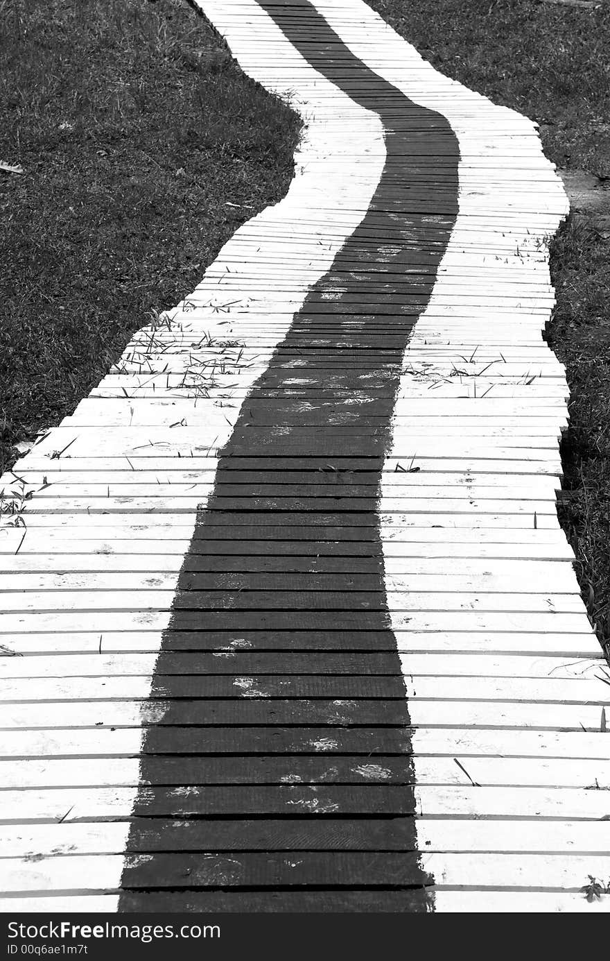 Broad whitewashed lines marking the edges of a boardwalk over a marshy ground. Broad whitewashed lines marking the edges of a boardwalk over a marshy ground