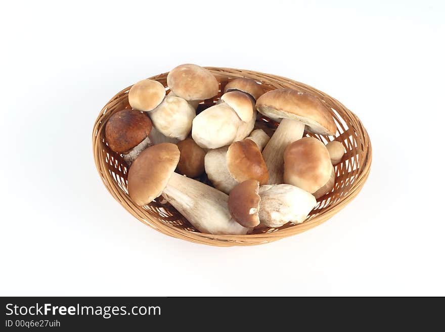 Fresh Mushrooms