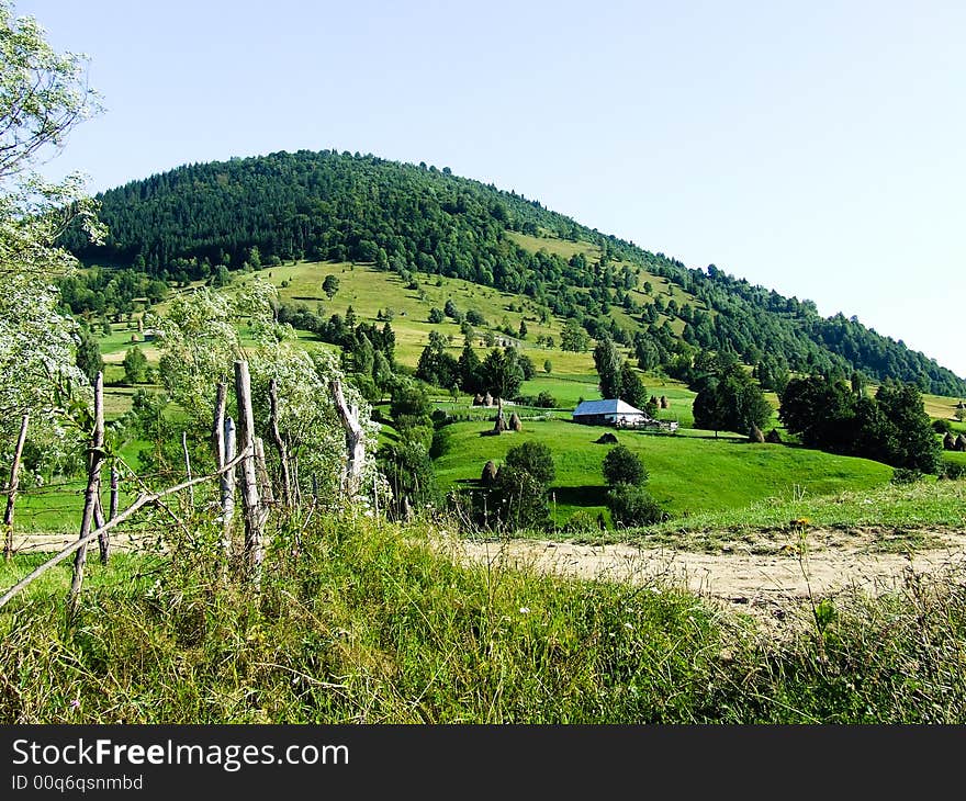 A beautiful hill with trees and a little house